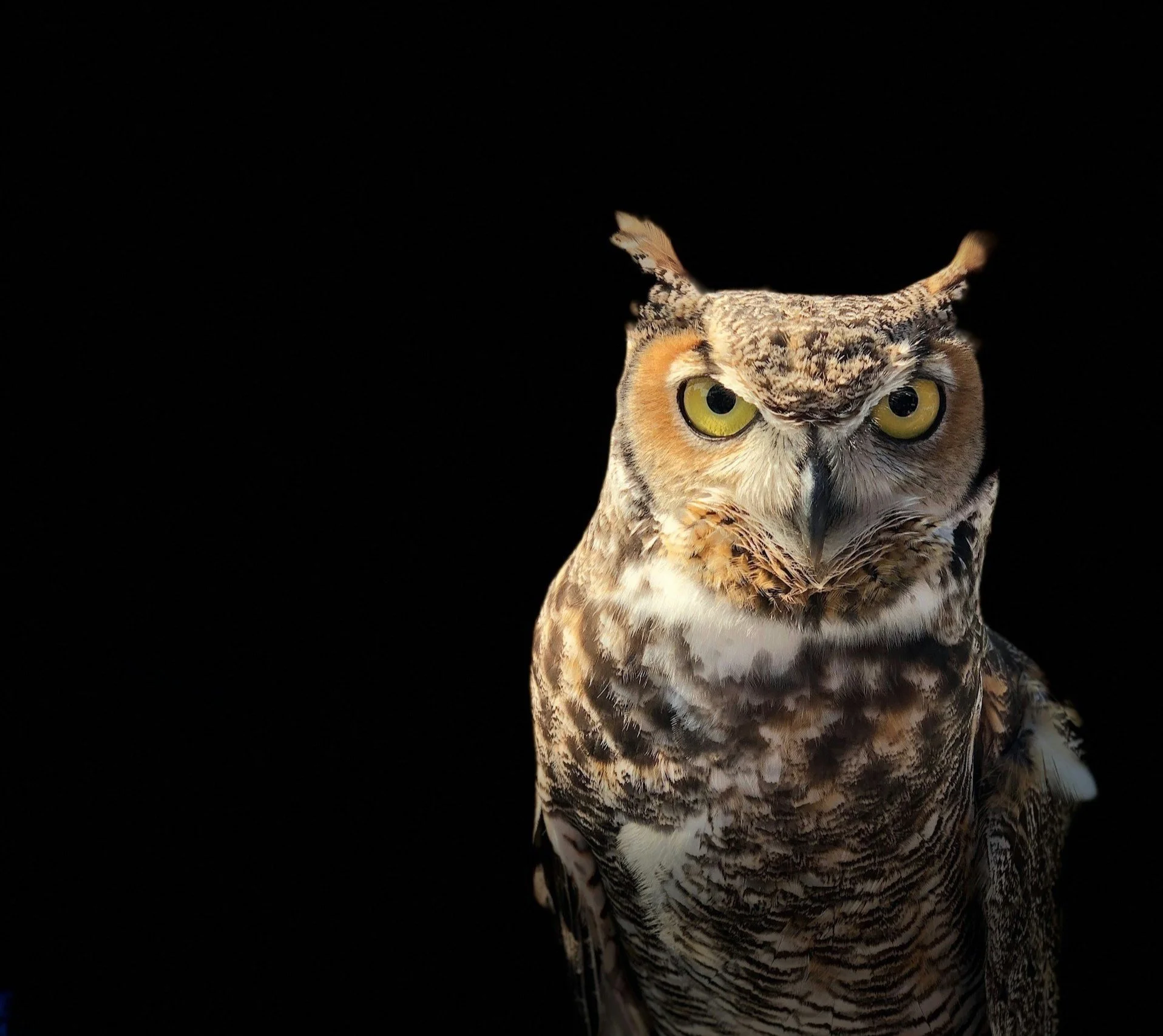 Cyber security visualization